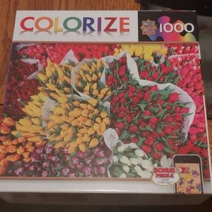 Colorize puzzle
